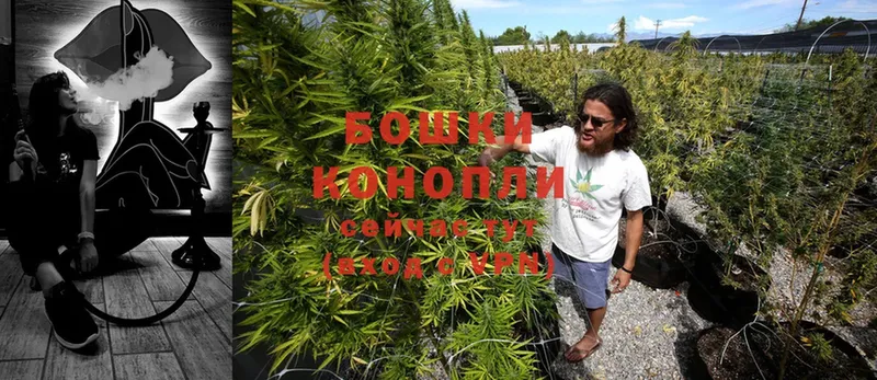 Конопля Ganja  Родники 